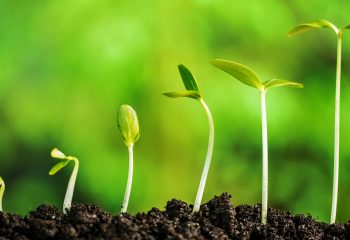 iStock_58811622b_LARGE