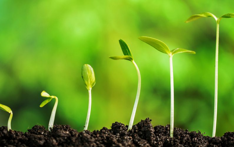 iStock_58811622b_LARGE